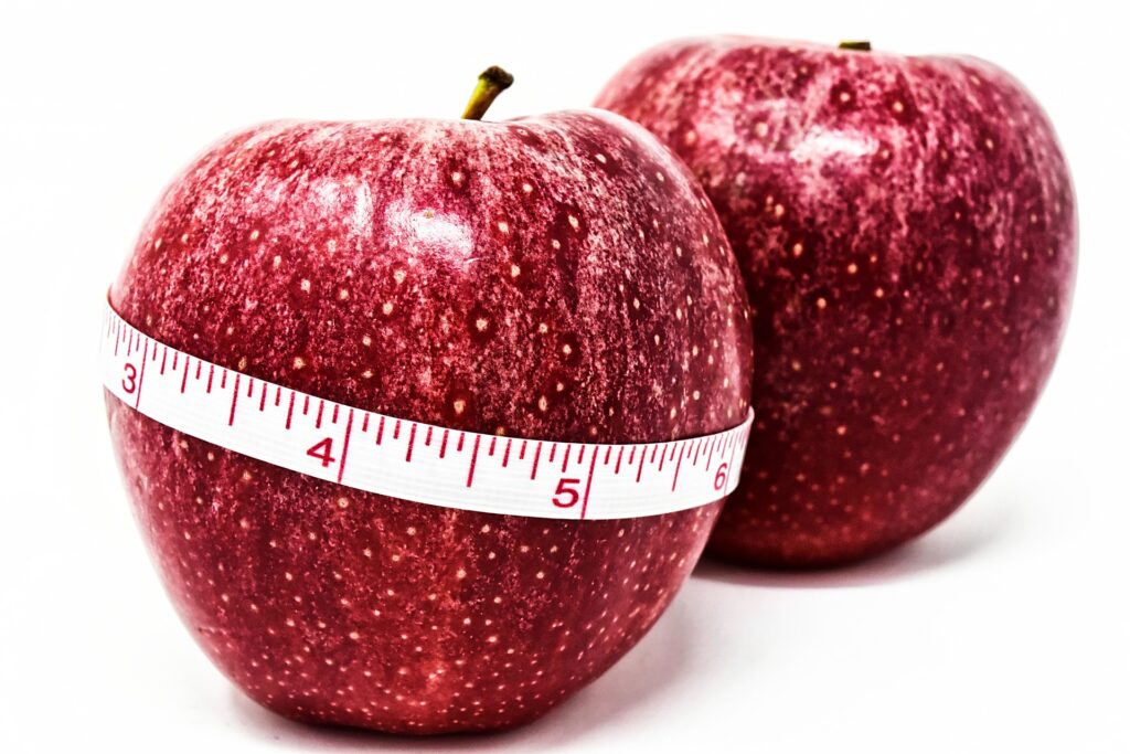 Mitos e verdades sobre as cirurgias de obesidade | Instituto Sallet