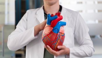 Como a obesidade aumenta o risco de doenças cardiovasculares