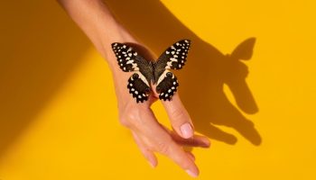 Por que a borboleta é o símbolo da bariátrica?