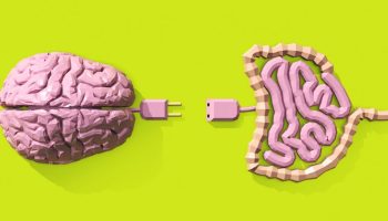 Por que o intestino é considerado o segundo cérebro - IMS