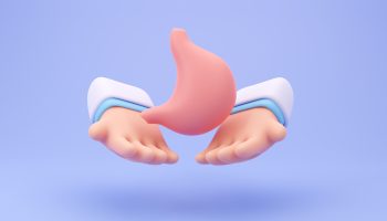 specialist doctor Take care of the organs in the body. 3D medical illustration.